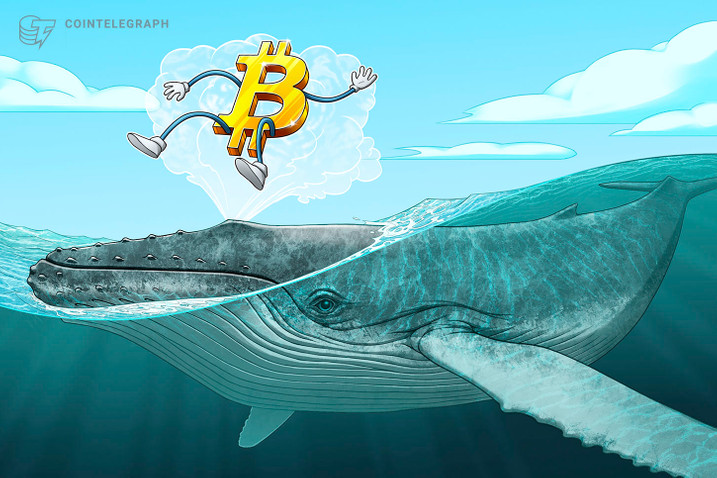 ¿Capitulación o toma de ganancias? Una ballena de Bitcoin mueve 32,000 monedas inactivas desde 2018